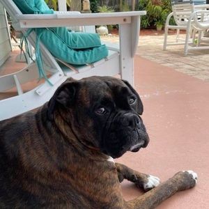 Meet your Posher, Terry